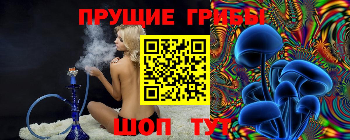 Псилоцибиновые грибы Psilocybine cubensis Ачхой-Мартан