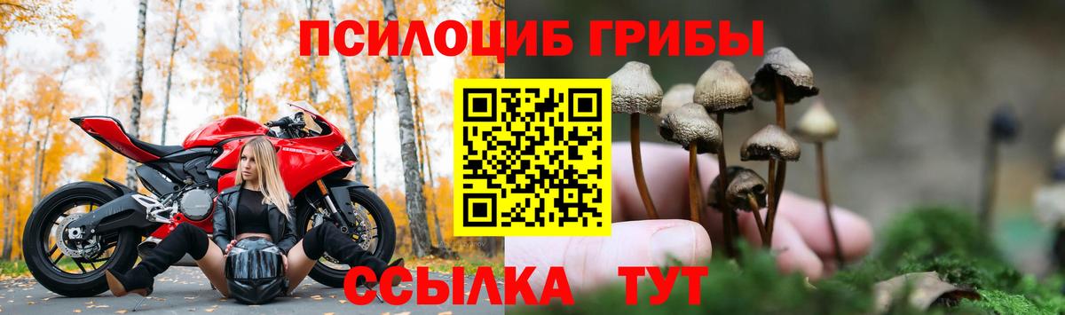Галлюциногенные грибы мицелий  Вход с VPN  Ачхой-Мартан 